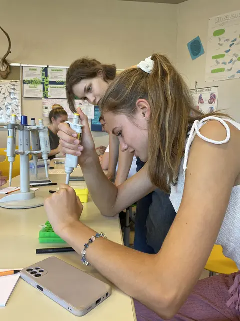 Foto: (c) Bundesgymnasium Babenbergerring