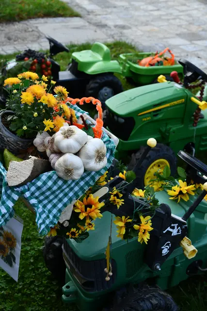 Foto: Erika Ganglberger