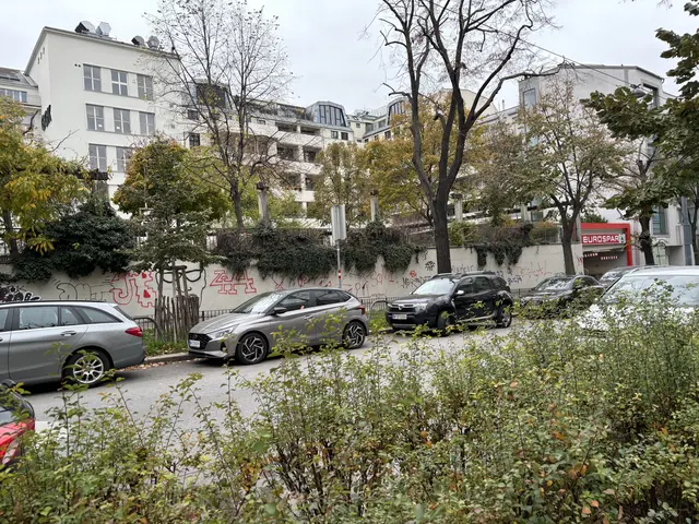 Archiv | Foto: Tamara Winterthaler/MeinBezirk