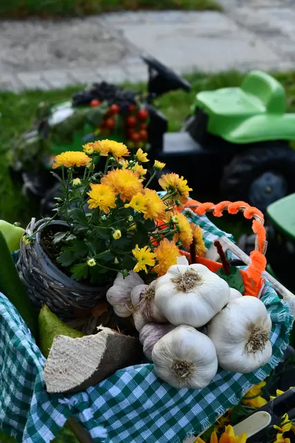 Foto: Erika Ganglberger