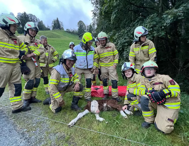 Die fleißigen Retter freuen sich, dass das Kalb unverletzt ist. | Foto: ZOOM.Tirol