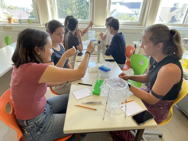 Foto: (c) Bundesgymnasium Babenbergerring