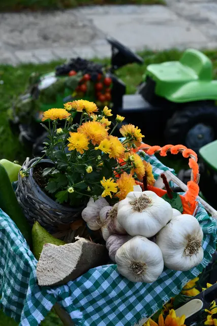 Foto: Erika Ganglberger