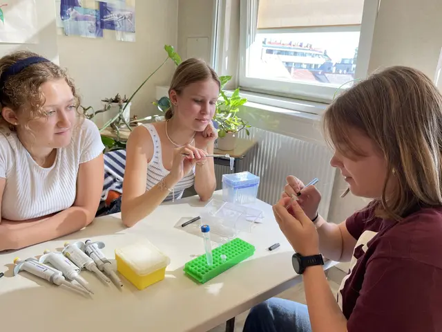 Foto: (c) Bundesgymnasium Babenbergerring