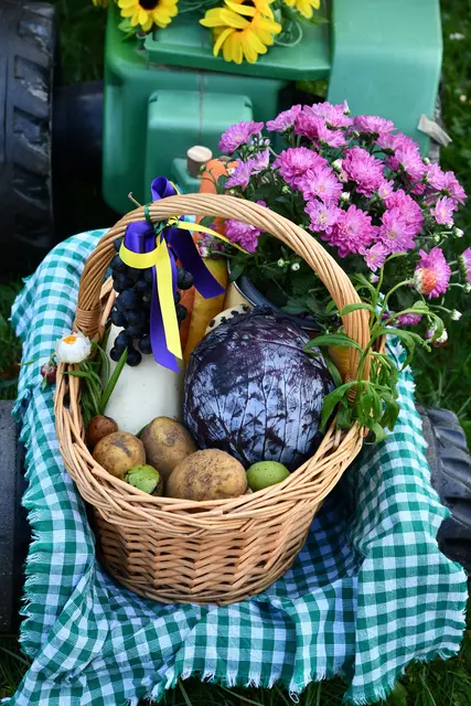 Foto: Erika Ganglberger