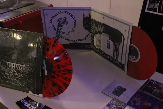 Vinyl ist in der heutigen Zeit bei den Fans wieder äußerst beliebt. | Foto: Josef Hofmüller