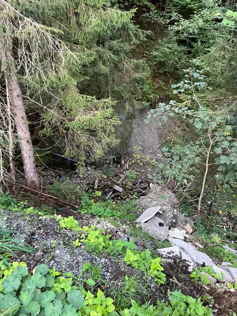 In diesen Steilen Graben ist das Jungtier abgestürzt.  | Foto: ZOOM.Tirol