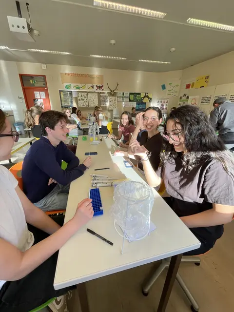 Foto: (c) Bundesgymnasium Babenbergerring