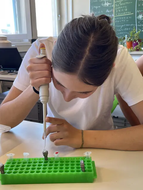 Foto: (c) Bundesgymnasium Babenbergerring