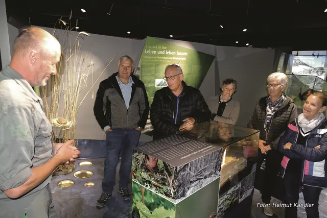 Bildungsveranstaltungen rund um den Nationalpark sind ein fester Bestandteil des Programms des Salzburger Bildungswerkes Muhr. Im Bild eine Führung durch die Nationalparkausstellung. In der Bildmitte: Robert Grießner. | Foto: Helmut Kandler