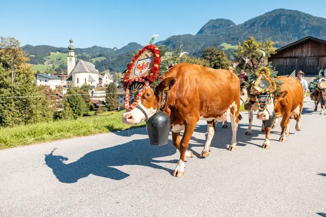 Foto: Alpbachtal Tourismus/ Shootandsyle