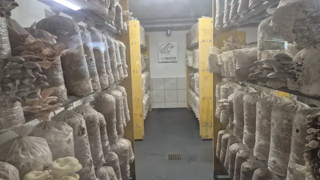 Foto: Holzmann, Resez