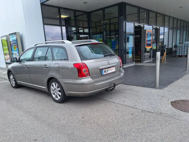 Der Kunstparker im Eingangsbereich des Hofer-Supermarktes. | Foto: Name d. Fotografen d. Red. bekannt