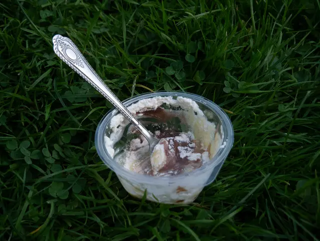 Seinen Ursprung hat der Trend in Karlsruhe: Dort tauchten vor wenigen Wochen erstmals Flyer mit der Aufschrift „Wir-essen-Pudding-mit-einer-Gabel-Treffen“ auf.  | Foto: Samir Ikhlef und Volkan Saracoglu