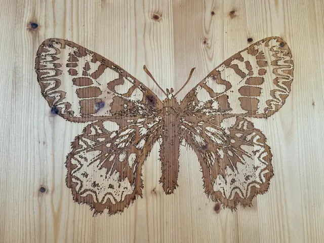 Foto: Waltraud Fischer