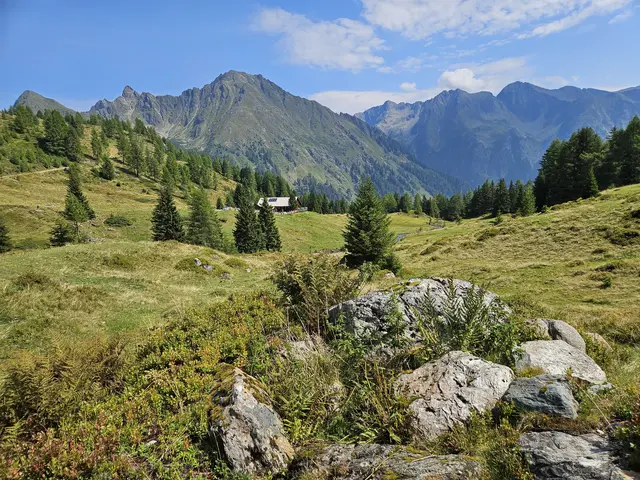 Blick zur Tonimörtlhütte | Foto: Juliane Lankmayer