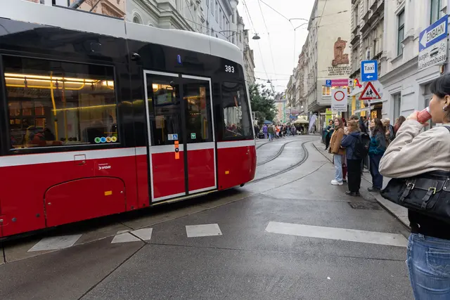 Foto: René Brunnhölzl/MeinBezirk