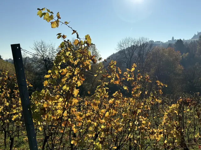 Foto: Waltraud Fischer