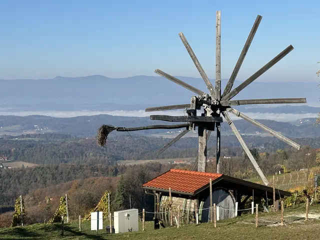 Foto: Waltraud Fischer