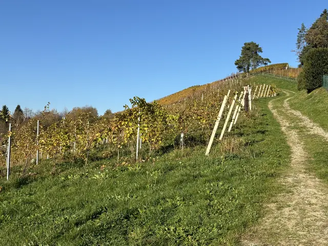 Foto: Waltraud Fischer