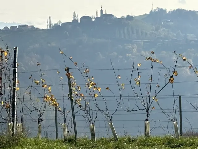 Foto: Waltraud Fischer