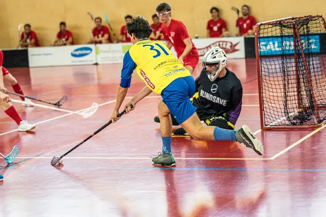 Die Wikings möchten die Titelverteidigung schaffen.
Hier im Bild mit der Nr. 31: Daniel Wenghofer | Foto: Johannes Radlwimmer