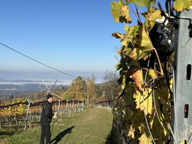 Foto: Waltraud Fischer