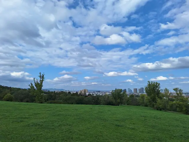 Etwa kann man vom höchsten Punkt eine Fernsicht zum Flughafen Wien-Schwechat, dem Schneeberg, Kahlenberg, Wienerwald und dem Leopoldsberg genießen. | Foto: Antonio Šećerović/MeinBezirk