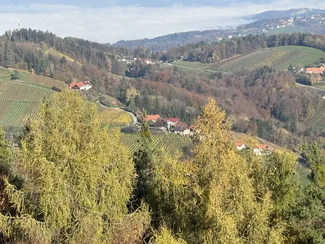 Foto: Waltraud Fischer