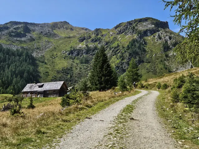 Tonimörtlhütte | Foto: Juliane Lankmayer