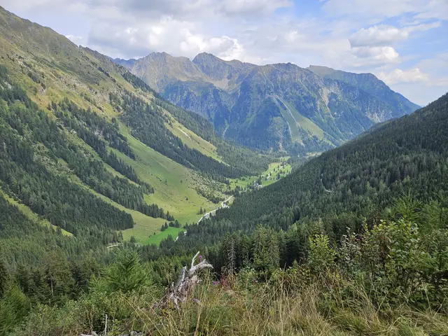 Blick ins Weißpriachtal | Foto: Juliane Lankmayer