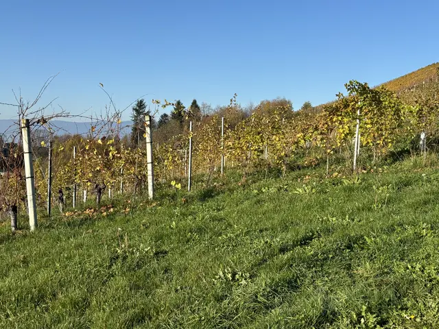 Foto: Waltraud Fischer