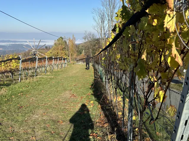 Foto: Waltraud Fischer