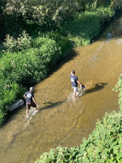 Insektenbuffet: Die Gusendurchquerung erfreute auch die sirrenden Plagegeister. | Foto: Schwab/Raferzeder