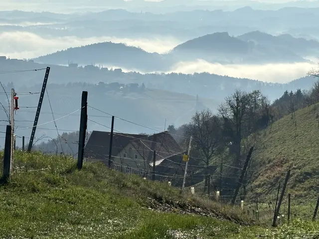 Blick vom Demmerkogel: Die südsteirischen Hügelketten im faszinierenden Nebelkleid. | Foto: Waltraud Fischer
