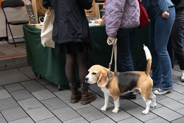 Foto: René Brunnhölzl/MeinBezirk
