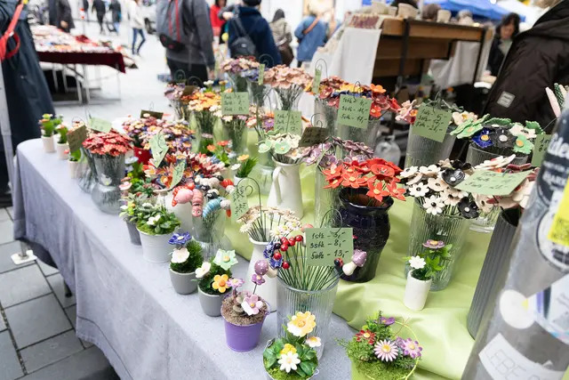 Foto: René Brunnhölzl/MeinBezirk