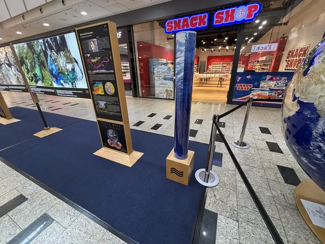 Foto: MeinBezirk/ Evelyn Wanz