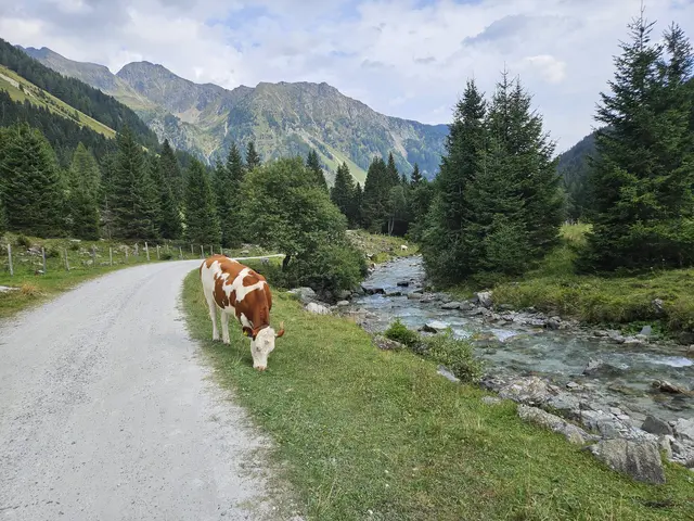 Die Longa im  Weißpriachtal | Foto: Juliane Lankmayer