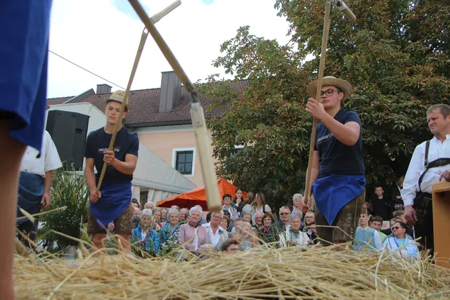 Ein Highlight war die Präsentation des Drischldreschens.