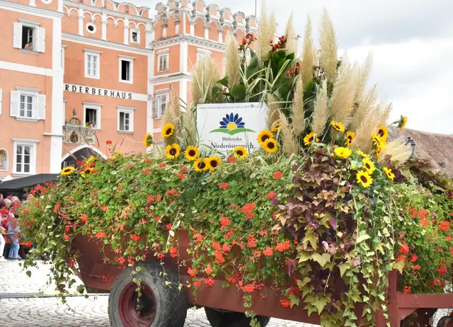 Foto: Alexandra Goll/Herbert Schleich