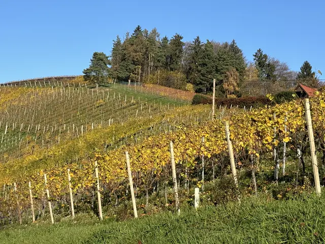 Foto: Waltraud Fischer