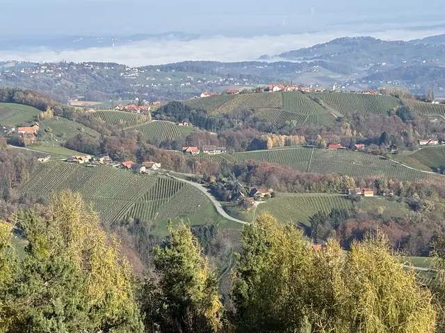 Besucherinnen und Besucher der Demmerkogelwarte können einen atemberaubenden Blick in das südsteirische Hügelland genießen. | Foto: Waltraud Fischer