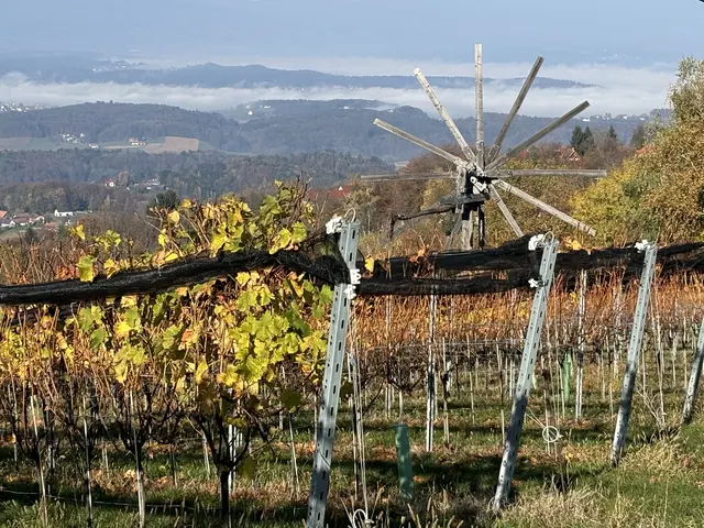 Foto: Waltraud Fischer