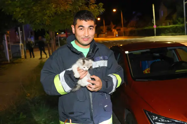 Die Freiwillige Feuerwehr schaffte es, die Babykatze aus dem Motorraum eines geparkten Autos in Wels-Lichtenegg zu befreien. | Foto: laumat.at