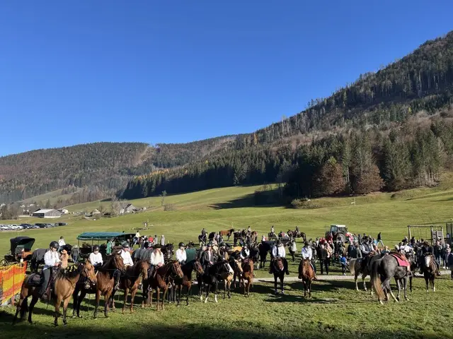 Foto: Pferdezuchtverein und Tourismusbüro Faistenau