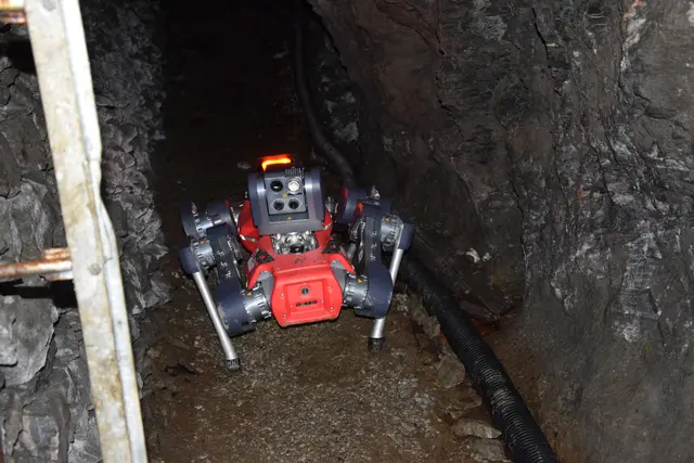 Mit der Kriechfunktion kann er einfach durch Engstellen kommen, jedoch schränkt diese seine allgemeine Beweglichkeit ein und er verliert das Gleichgewicht auf rutschigem Boden. | Foto: MeinBezirk / Leonie Herrmann