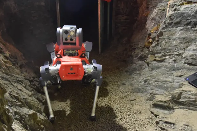 Foto: MeinBezirk / Leonie Herrmann