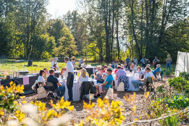 Der Höhepunkt des Kulinarischen Herbstes in Radovljica ist das gemeinsame Feiern. | Foto: KMETOVA MIZA VELIKO