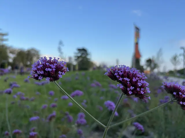Foto: Michael Marbacher/MeinBezirk